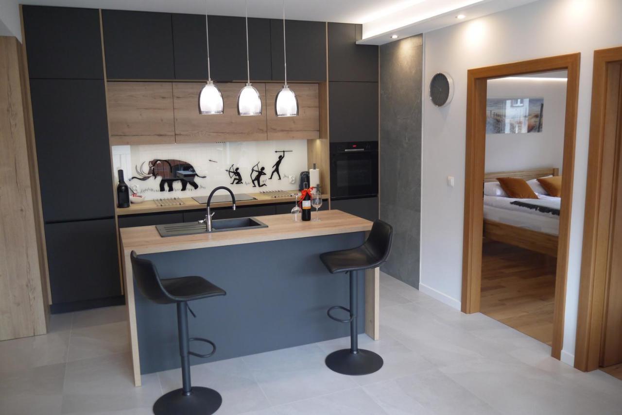 Nowy Apartament Zygmunta Premium Гливице Екстериор снимка
